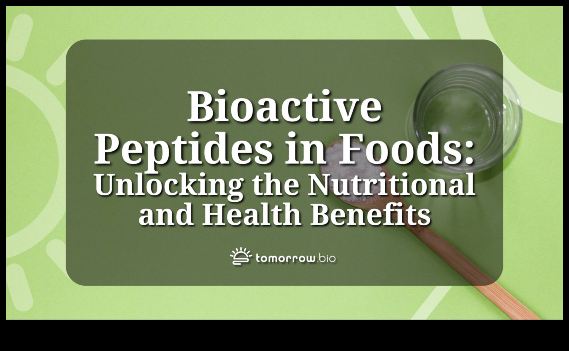 איזון ביוכימי: המפתח לפתיחת בריאות תזונתית