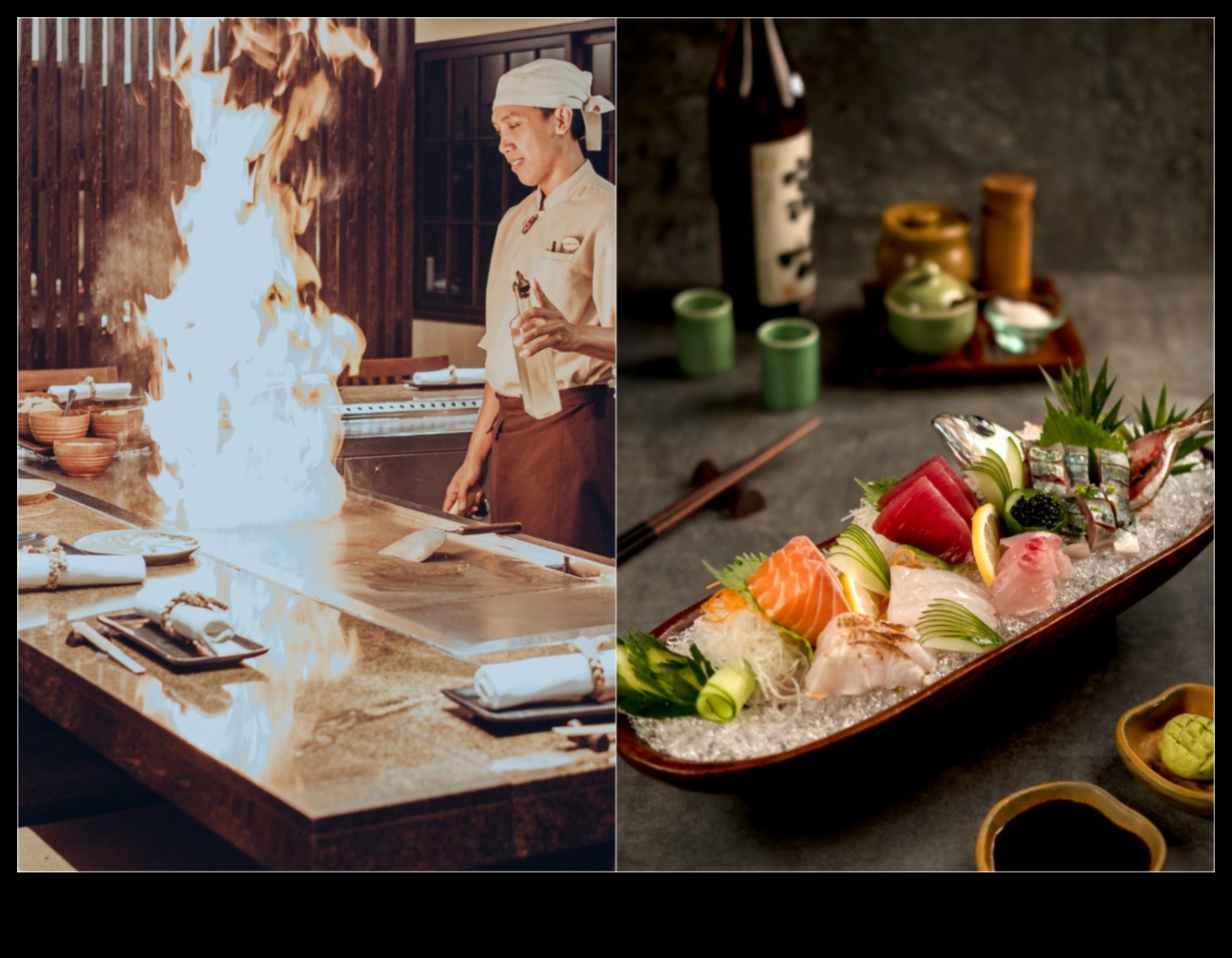 סושי סוארי: לחמניות יפניות אלגנטיות שנחשפו במטבח שלך