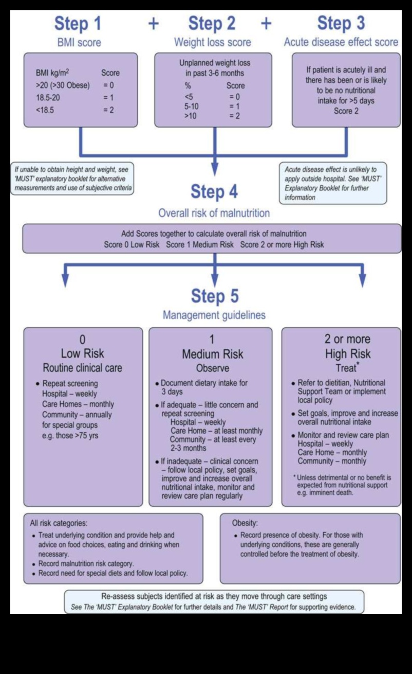 משוואת התזונה: איזון בריאות עם ביוכימיה תזונתית