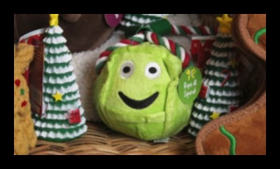 מתנות עשה זאת בעצמך לאוהבי בעלי חיים: מתנות ממוקדות לחיות מחמד