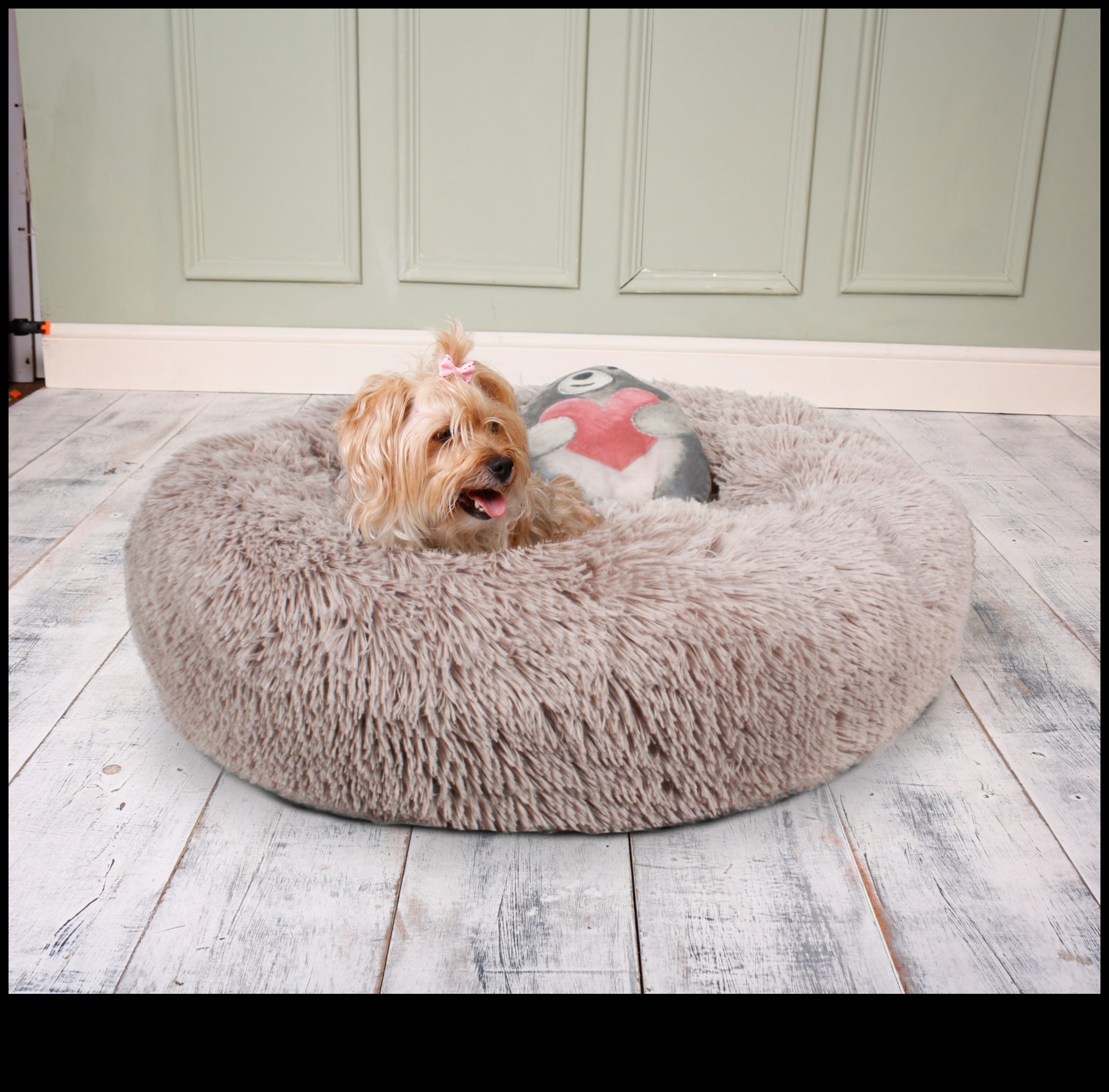 מתנות עשה זאת בעצמך לאוהבי בעלי חיים: מתנות ממוקדות לחיות מחמד