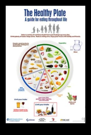 הצלחת העמידה: תזונה לבריאות הציבור בזמנים מאתגרים
