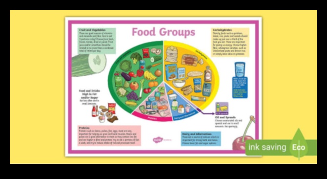 הצלחת העמידה: תזונה לבריאות הציבור בזמנים מאתגרים