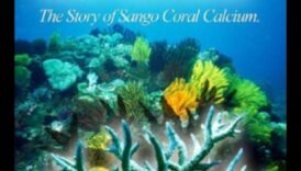 פלאי מינרלים: צלילה עמוקה אל ניסים של יסודות חיוניים