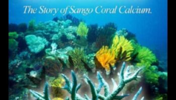 פלאי מינרלים: צלילה עמוקה אל ניסים של יסודות חיוניים