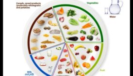 הצלחת העמידה: תזונה לבריאות הציבור בזמנים מאתגרים