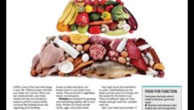 דלק לחיים: תפקידה של תזונה באריכות ימים וחיוניות