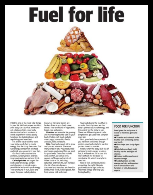 דלק לחיים: תפקידה של תזונה באריכות ימים וחיוניות