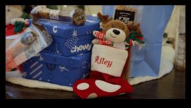 מתנות עשה זאת בעצמך לאוהבי בעלי חיים: מתנות ממוקדות לחיות מחמד