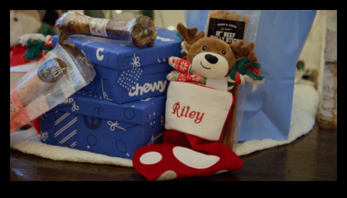 מתנות עשה זאת בעצמך לאוהבי בעלי חיים: מתנות ממוקדות לחיות מחמד