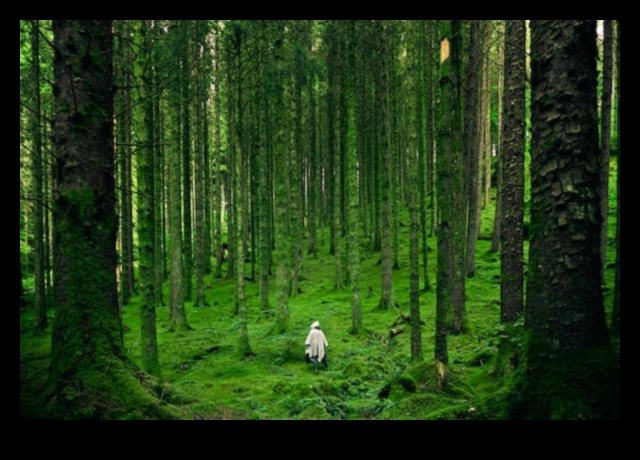 בריאות בכל סלע: הקסם של מינרלים חיוניים