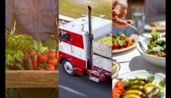 מחווה לשולחן: הערכת ערך תזונתי בתוצרת טרייה