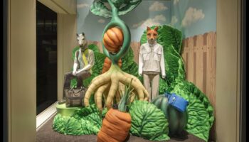 עיצוב חלומות: האמנות והמדע של דוגמנות יצירתית