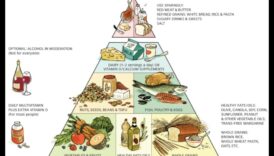 יסודות הערך התזונתי: מדריך לאכילה בריאה