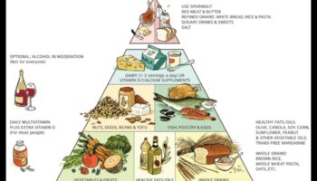 יסודות הערך התזונתי: מדריך לאכילה בריאה