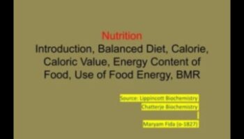 איזון ביוכימי: המפתח לפתיחת בריאות תזונתית