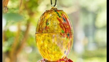 צוף הטבע: מתנות חוץ ליום השנה לזוג אוהבי הטבע