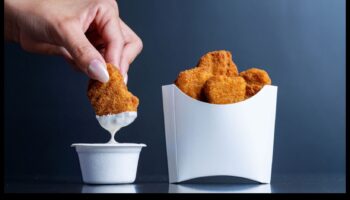 קסם ללא בשר: יצירת שמחה קולינרית מעבר למוצרים מהחי